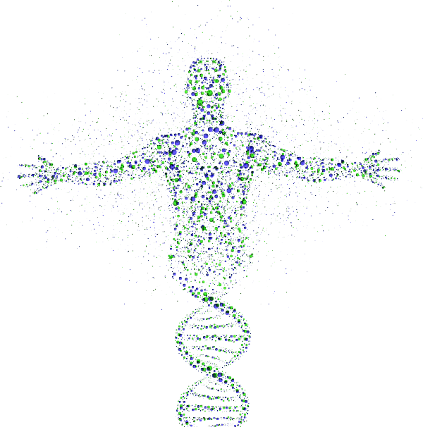 THE HUMAN EPIGENOME ATLAS