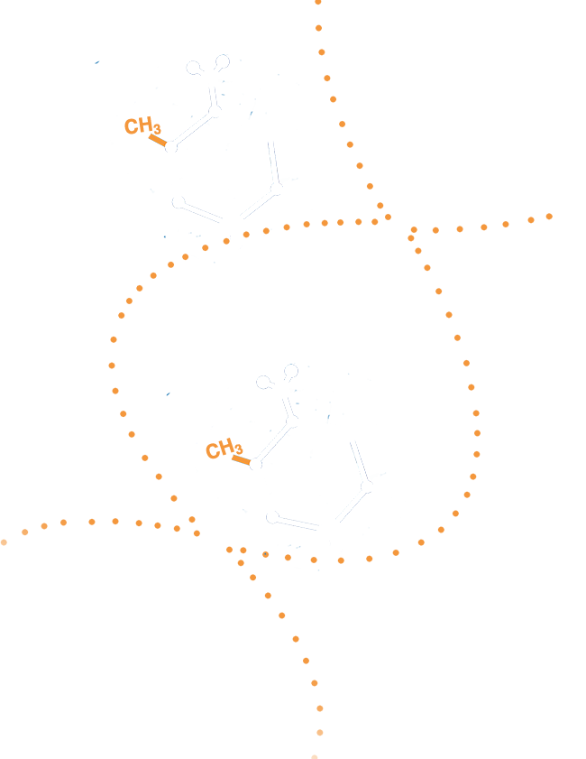 genboree methylation of dna