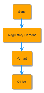 Cfde_gene_testcase_model